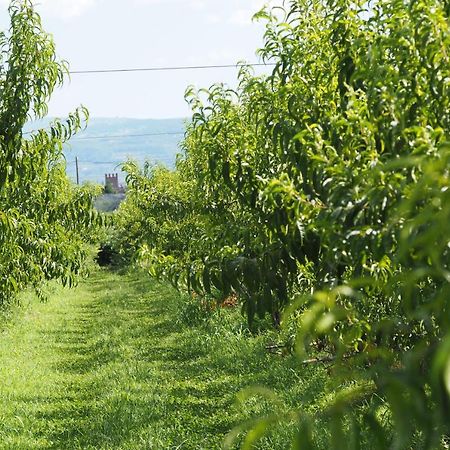 Agriturismo Fior Di Maggio 佩斯坎蒂那 外观 照片