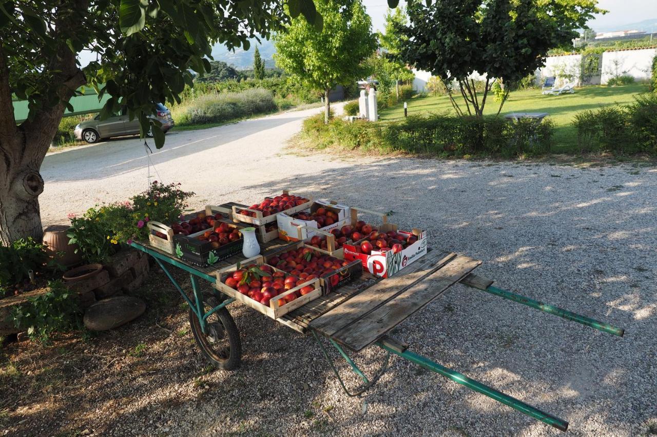 Agriturismo Fior Di Maggio 佩斯坎蒂那 外观 照片