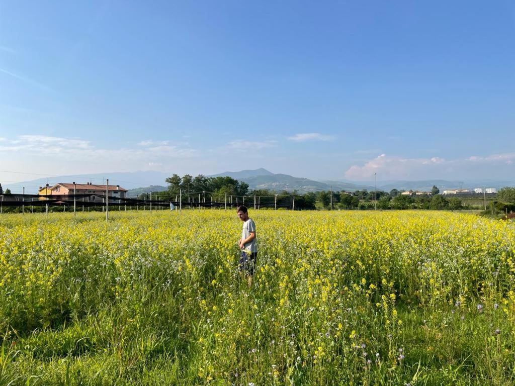 Agriturismo Fior Di Maggio 佩斯坎蒂那 外观 照片