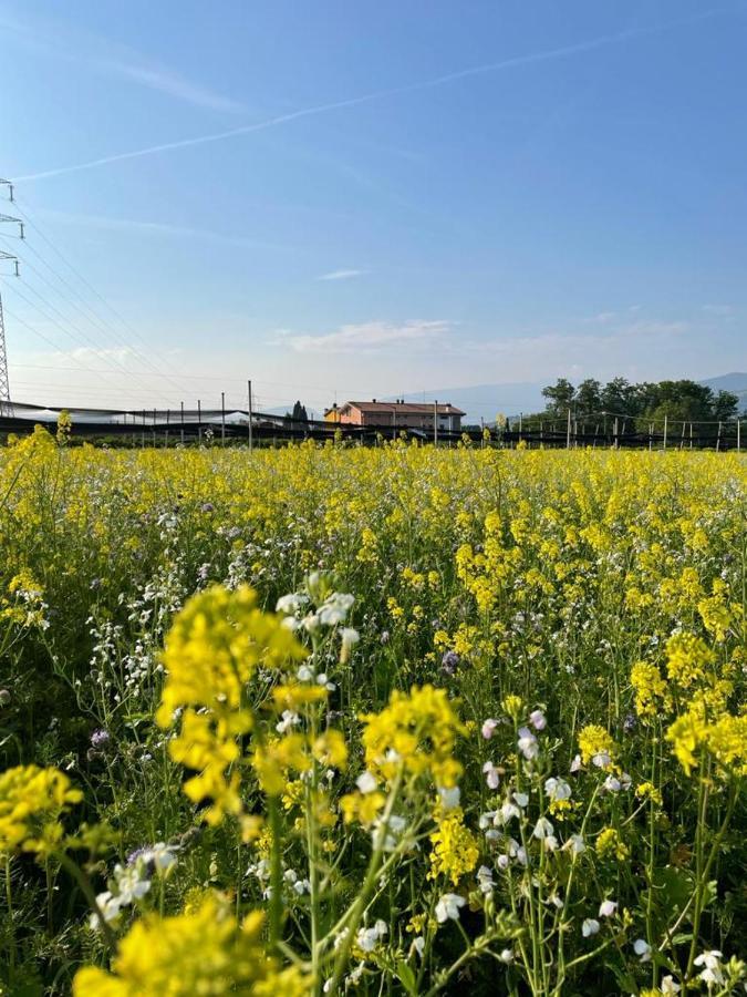 Agriturismo Fior Di Maggio 佩斯坎蒂那 外观 照片