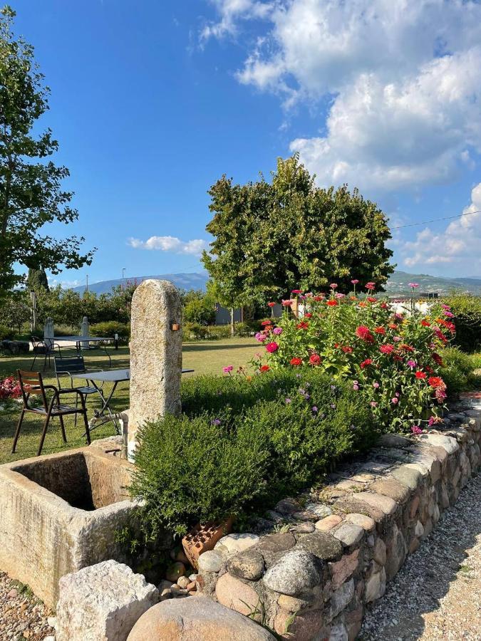 Agriturismo Fior Di Maggio 佩斯坎蒂那 外观 照片