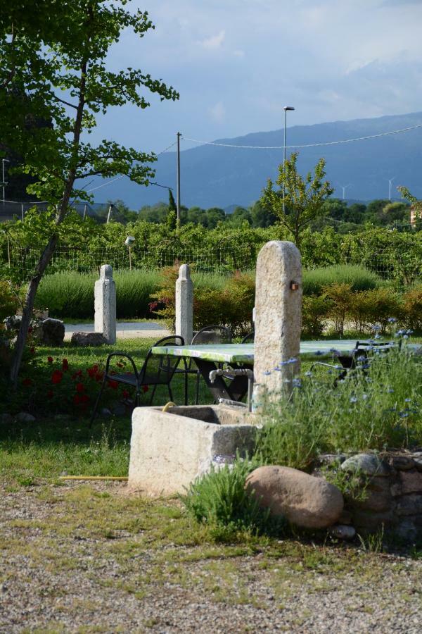 Agriturismo Fior Di Maggio 佩斯坎蒂那 外观 照片