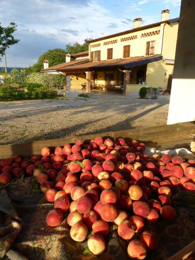 Agriturismo Fior Di Maggio 佩斯坎蒂那 外观 照片